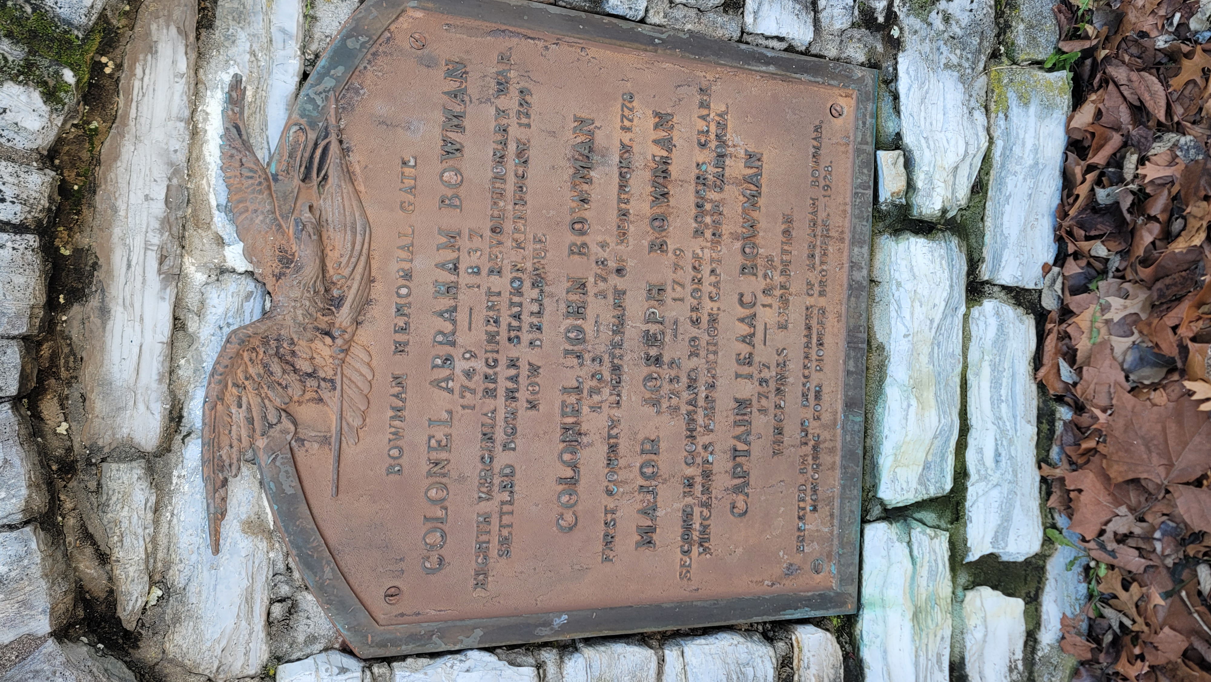 Close-up of plaque